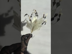 сборник перьев