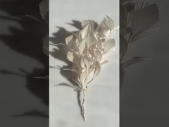 Перовые монтажи